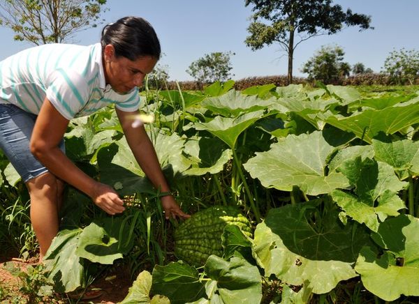 Inocuidad de alimentos, un asunto de todas las personas - Opinión - ABC Color