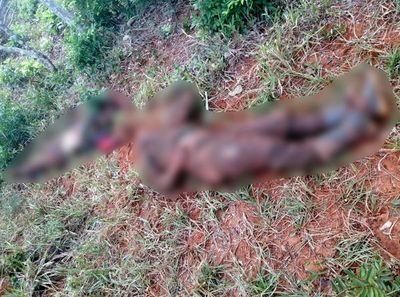 Uno de los asesinados era buscado por varios asesinatos y secuestros en nombre del EPP - Nacionales - ABC Color