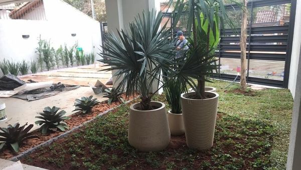 Todo en uno: Diseño, creación y mantenimiento de espacios verdes para áreas urbanas y rurales