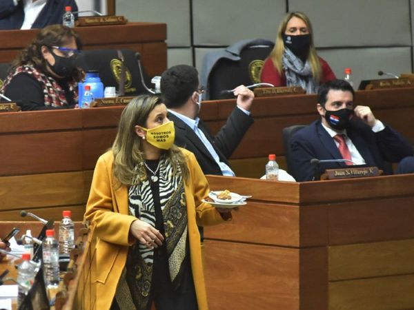 Piden ruta de licitación y que BNF y Seprelad informen sobre cheques