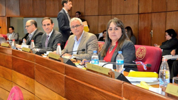 Patria Querida lamenta que ANR cope presidencias del Congreso
