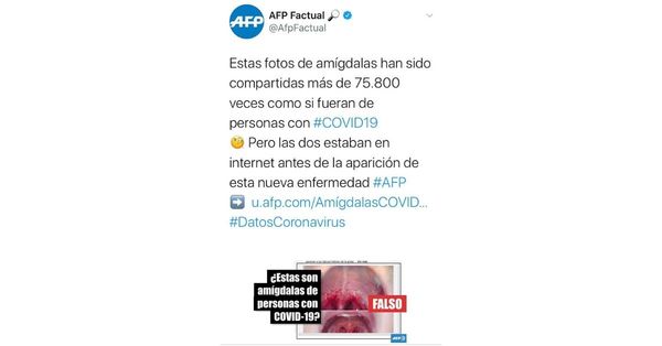 La agencia France Press detecta y denuncia fake news en las redes - El Trueno