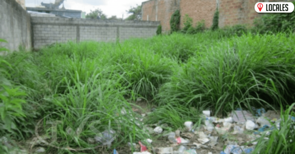 Aumenta la cantidad de patios baldíos sin limpiar y la Policía Ambiental anuncia intervenciones