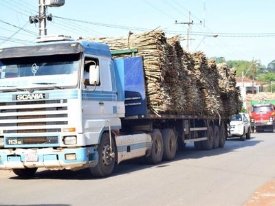 Con petardos y bocinazos exigen inicio de zafra cañera en Guairá