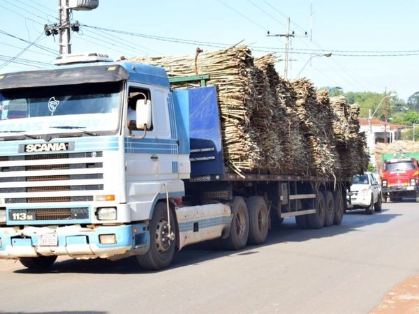 Con petardos y bocinazos exigen inicio de zafra cañera en Guairá