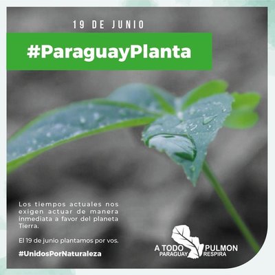 A Todo Pulmón te invita a Paraguay planta | Crónica