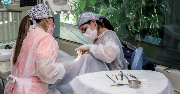 Centro odontológico cerró por la pandemia, se reinventó y ahora realiza cursos online