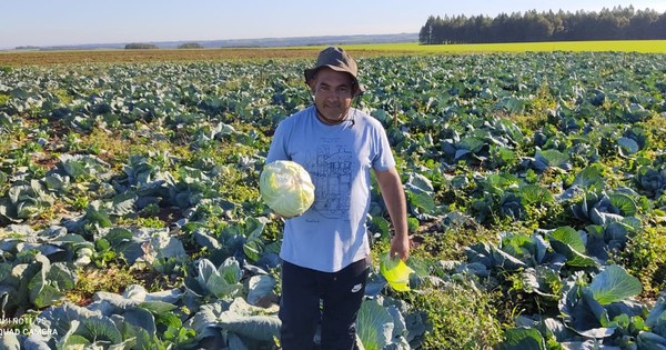 CAH ya desembolsó unos US$ 16 millones en créditos por COVID-19