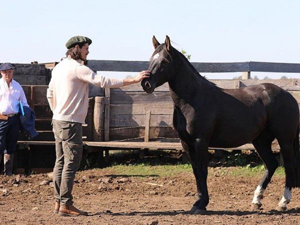 Cavani trabaja en el campo mientras decide su futuro futbolístico