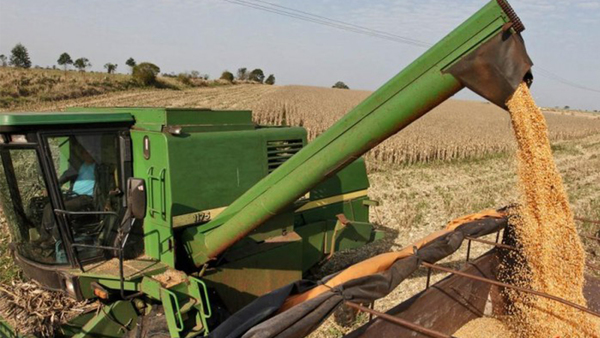 UGP REPORTA ÓPTIMA PRODUCCIÓN AGRÍCOLA AUNQUE AFECTADA POR BAJA EN LOS PRECIOS