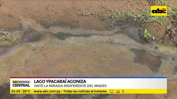 Lago Ypacaraí agoniza ante mirada indiferente del Mades - ABC Noticias - ABC Color