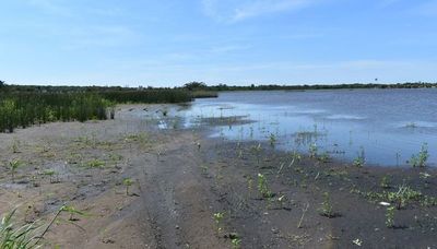 Lago Ypacaraí: “La solución es invertir más en el Presupuesto General de la Nación”, dice ministro del Ambiente - Periodísticamente - ABC Color