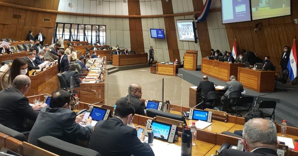 Diputados buscará despenalizar falsedad en declaraciones juradas