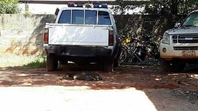 COMISARÍA 12 NO DA ABASTO PARA COBERTURA MÍNIMA. - Campo 9 Noticias
