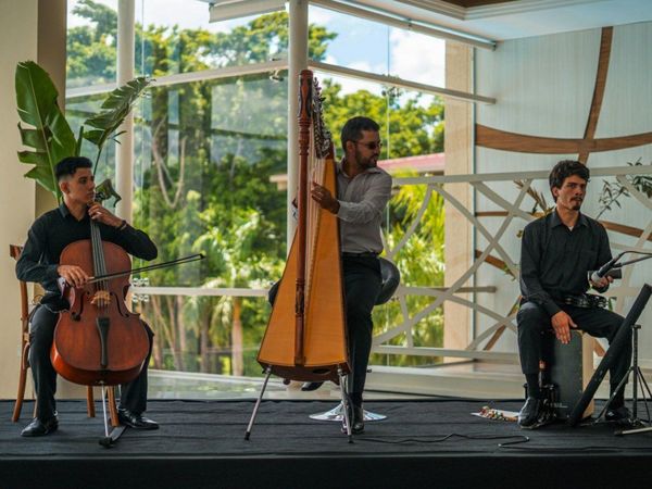 Festival virtual para celebrar hoy Día del Arpa Paraguaya