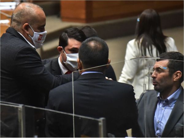 Censura a Petta, recortes y declaraciones se tratan hoy