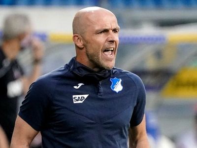 El Hoffenheim cesa a su entrenador Alfred Schreuder por diferencias internas