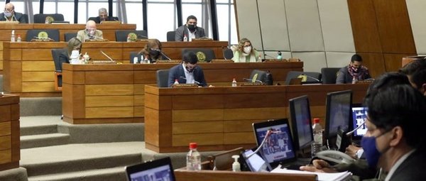 Diputados a favor que declaraciones juradas falsas no sean penalizadas | Noticias Paraguay