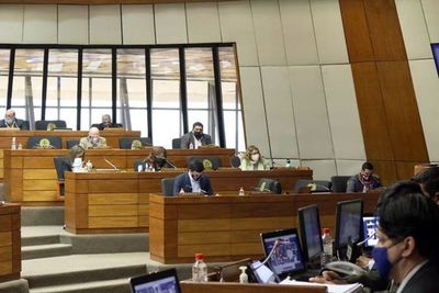 Diputados sanciona ley que despenaliza las declaraciones juradas falsas - Nacionales - ABC Color