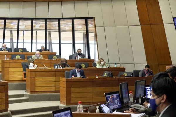 Diputados sanciona ley que despenaliza las declaraciones juradas falsas - Nacionales - ABC Color