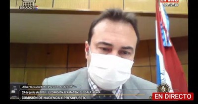 Fondos jubilatorios: Gubetich afirma que "no hay un centímetro de peligro que esto no se devuelva”
