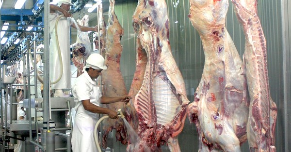 Hoy arranca la faena kosher en tres frigoríficos