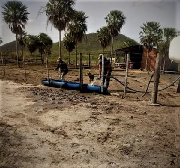 La sequía sigue latente en el Alto Chaco