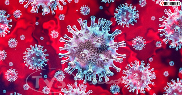 Revelan que una mayor humedad ayuda a que el coronavirus sobreviva más tiempo