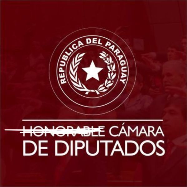 La Cámara de la VERGÜENZA, legalizó la corrupción - Informate Paraguay