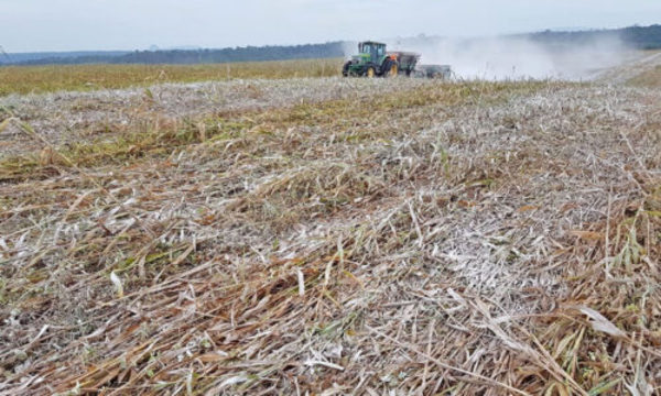 » CAMPAÑA PENSÁ EN POSITIVO: Campo como pilar fundamental del desarrollo económico