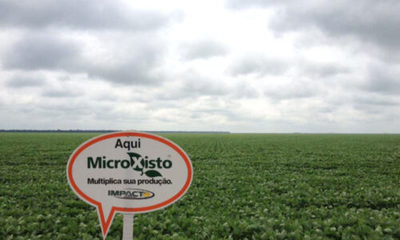 » Glymax y Microxisto capacitan sobre nutrición y fisiología de plantas
