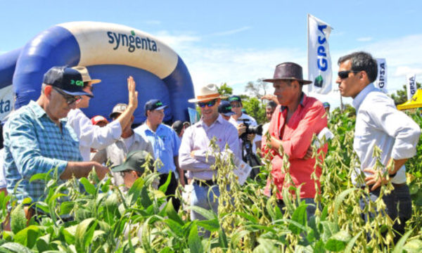 » PROYECTO PASO KURUSU CON IMPACTO SOCIAL: A plena cosecha en un “barrio cerrado” productivo