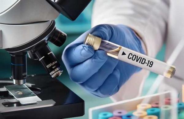 Investigación de Harvard señala que el coronavirus pudo estar en Wuhan desde agosto - C9N