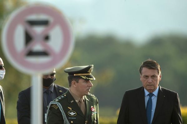 Supremo de Brasil falla a favor de publicidad de datos de covid-19 - Mundo - ABC Color