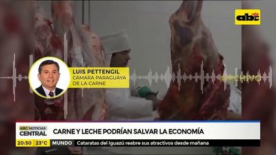 Carne y leche podrían salvar la economía - ABC Noticias - ABC Color