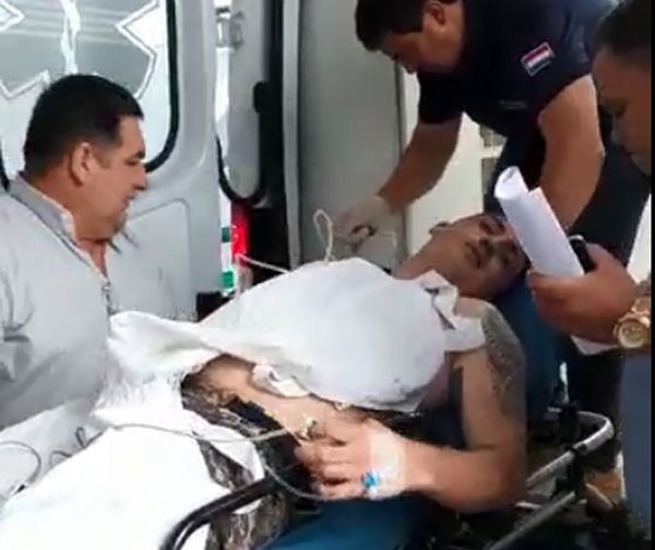 Policía Nacional desampara a lince baleado durante servicio, denuncian - Nacionales - ABC Color