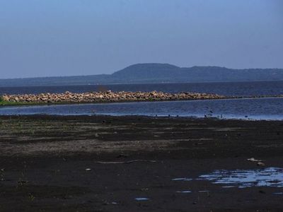 Estudio ratifica alta    contaminación por cloaca en el lago Ypacaraí