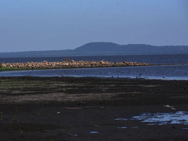 Estudio ratifica alta contaminación por cloaca en el lago Ypacaraí