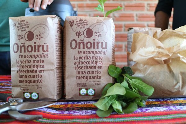 Exportarán 24 mil kilogramos de yerba mate a Estados Unidos