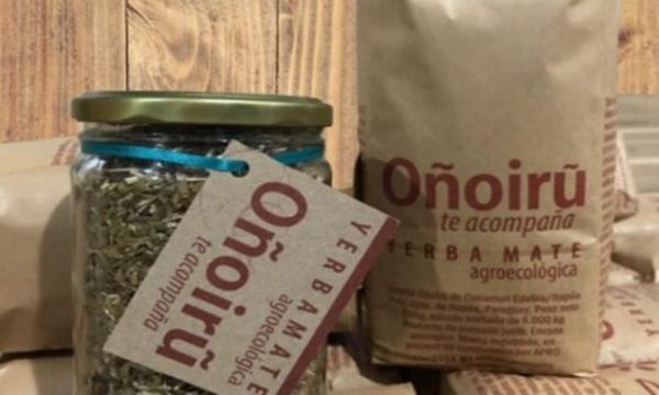 » Productores agroecológicos de Itapúa exportarán yerba mate a EE.UU