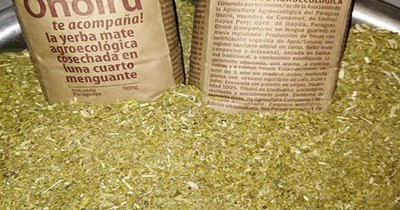 Anuncian exportación de 24.000 kilos de yerba ecológica, de Itapúa a EEUU