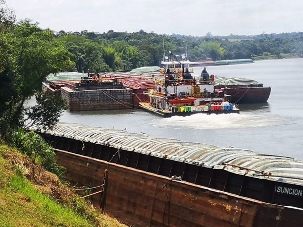 Advierten sobre extinción del río Paraná por depredación paraguaya