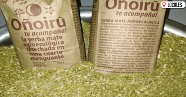 Desde Itapúa exportan 24.000 kg de yerba mate con certificación orgánica a EE.UU.