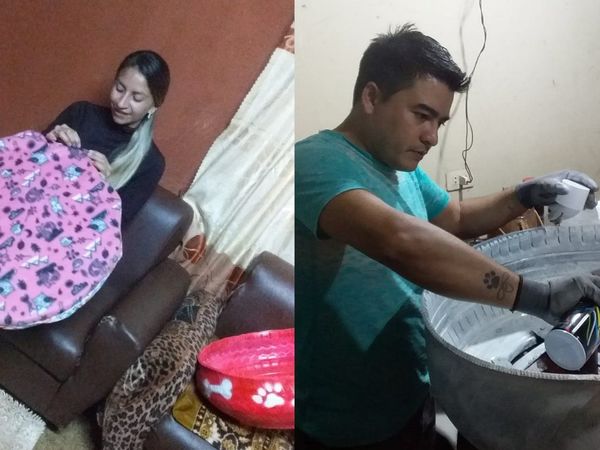 Pareja desafía a la pandemia con cuchas para mascotas