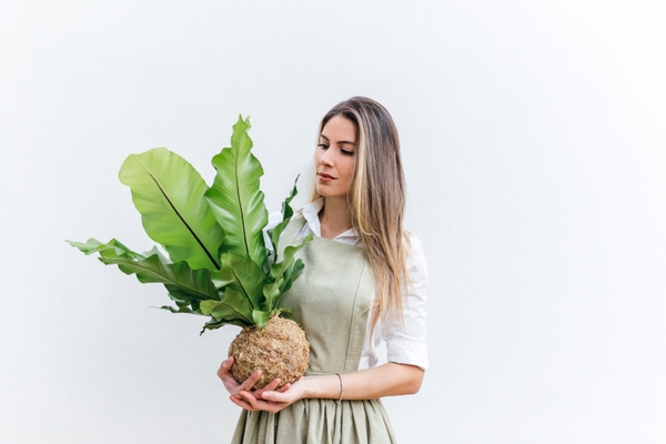 Kokedama, el arte japonés para cultivar plantas que beneficia a la salud y reduce el estrés