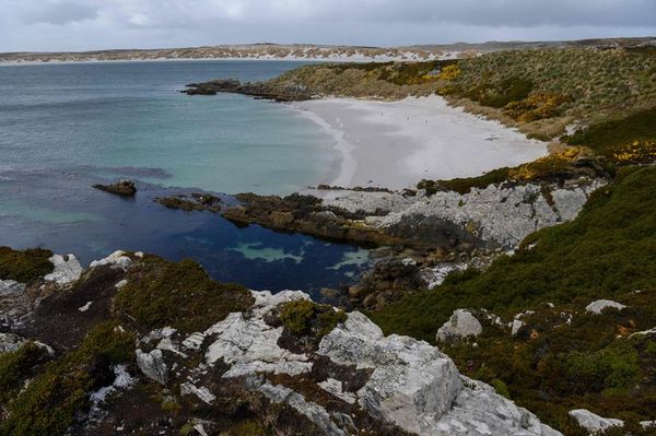 Argentina conmemora día de Malvinas con llamados al diálogo por soberanía - Mundo - ABC Color