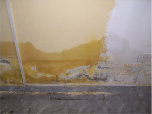 ¿Mucha humedad en tu casa? Recomendaciones para combatirla