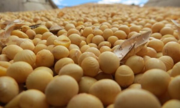 » El 75% de las exportaciones va a Argentina, Brasil y Chile