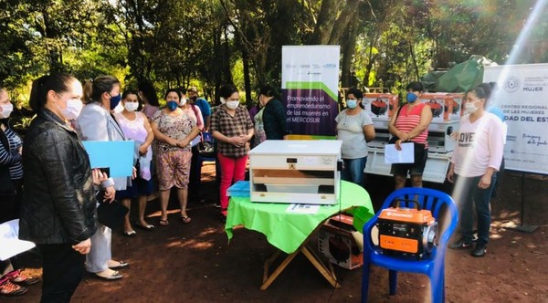 Once comités de mujeres de Alto Paraná reciben donaciones para la producción – Diario TNPRESS