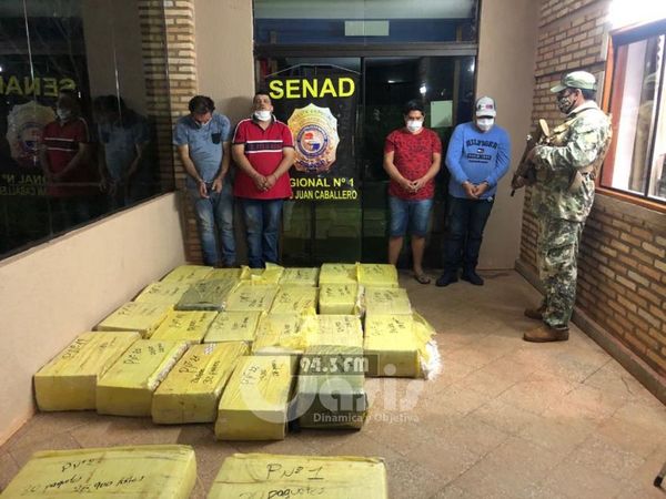 Senad incauta más de media tonelada de marihuana en Desarmadero en Pedro Juan